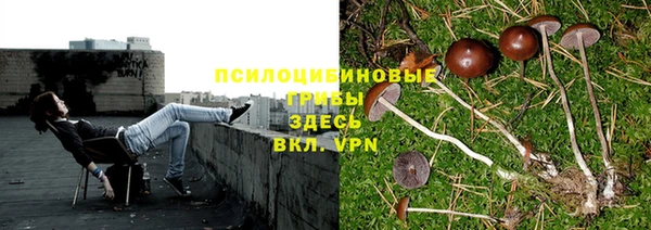 экстази Горно-Алтайск