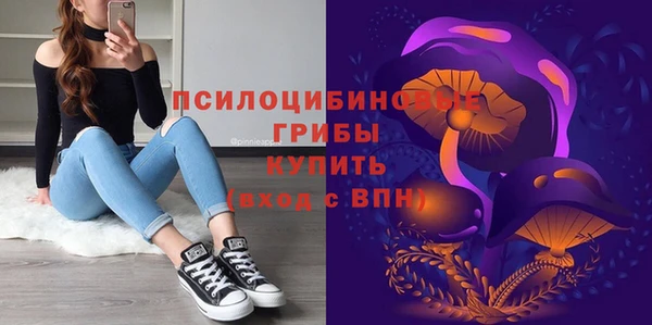 спиды Вязьма